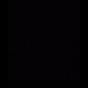 Meet your Posher, Chelsea